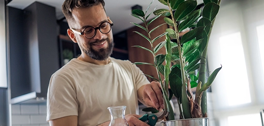 Person pruning their plant, smiling