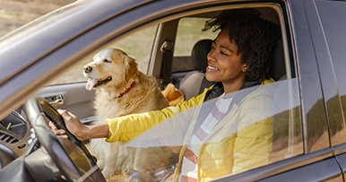 woman with golden retriever dog driving to the park