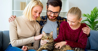 family petting their cat in the living room