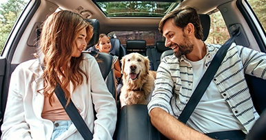 A family and dog in a car