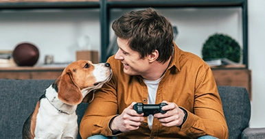 Young adult and dog playing video games